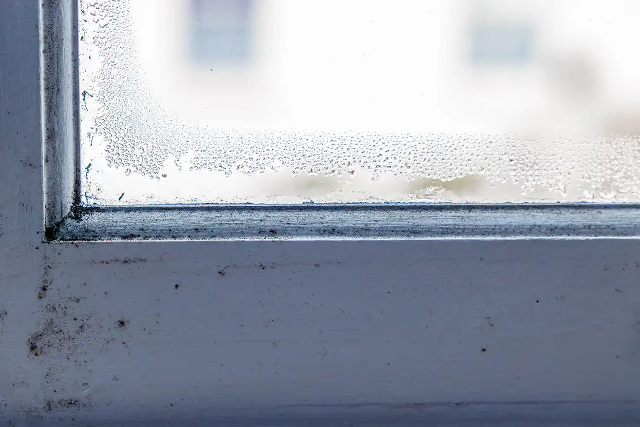 Schimmelbildung und Kondenswasser am Fenster durch falsches Lüften